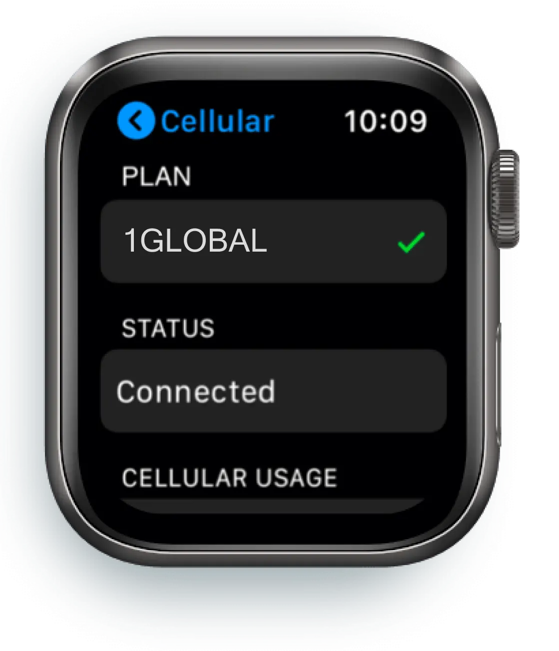 Apple Watch Settings - Cellular Data